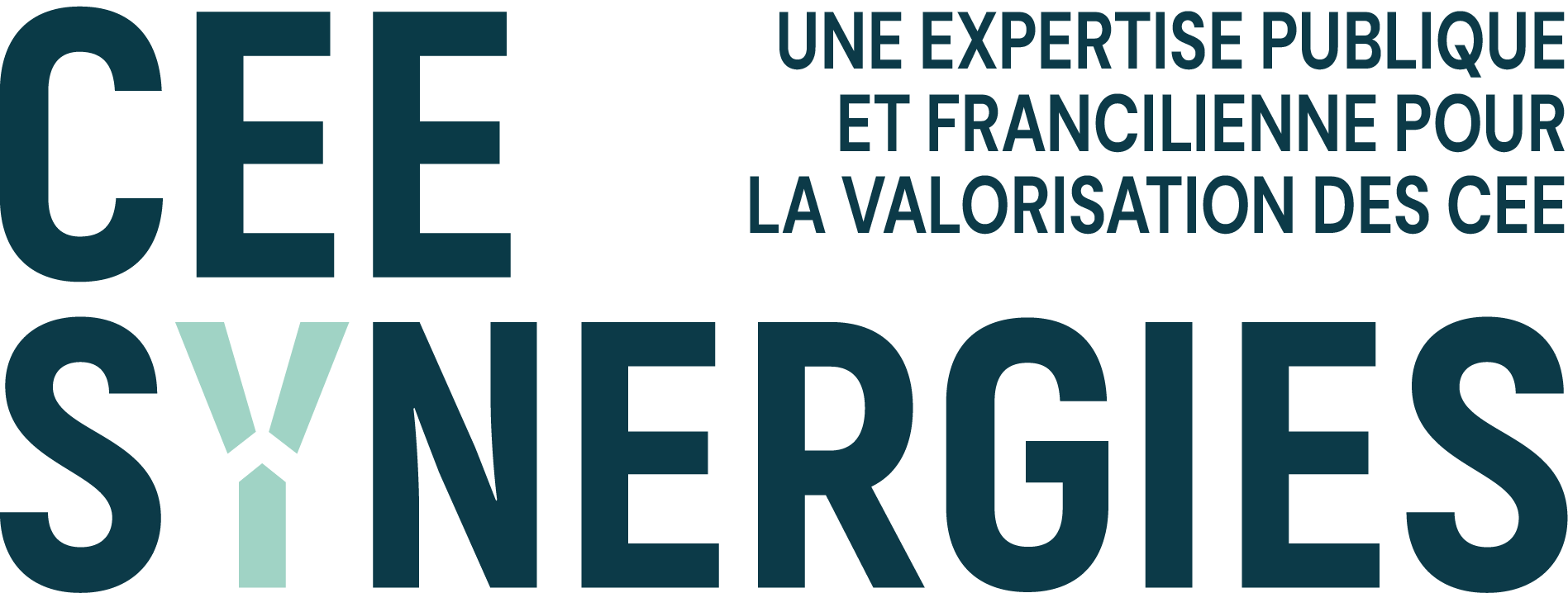 CEESynergies logo